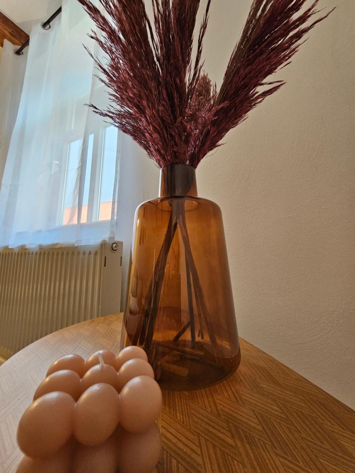 Ferienwohnung Gruene Strasse 1 Wernigerode Oda fotoğraf